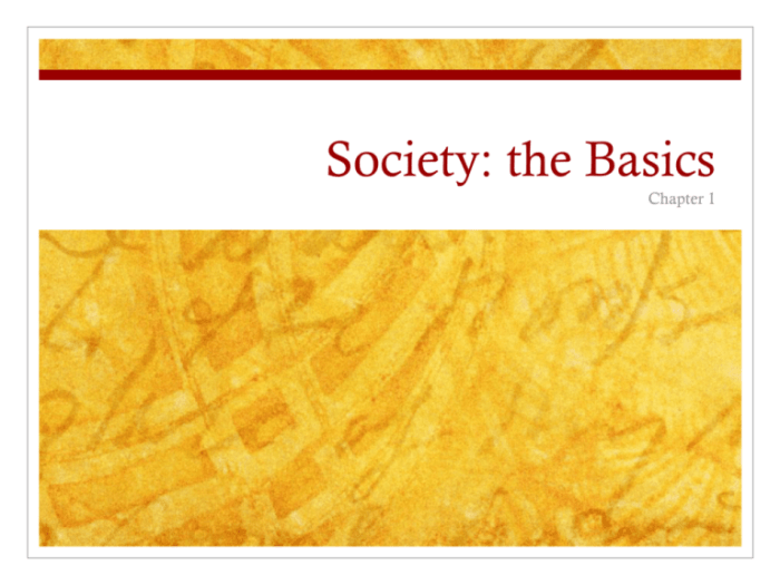 Society the basics 15th edition pdf