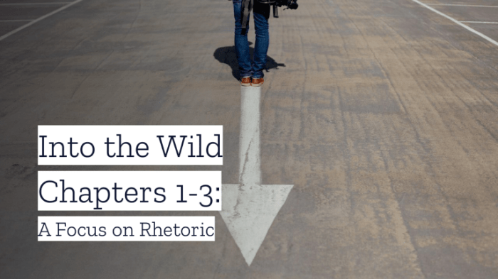 Into the wild dialectical journal