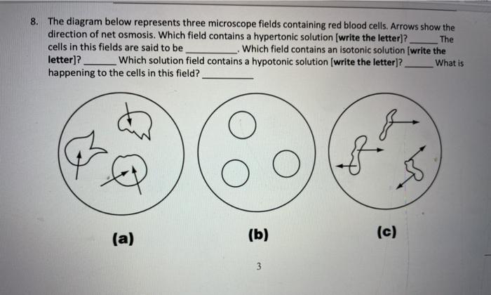 Which field contains a hypertonic solution