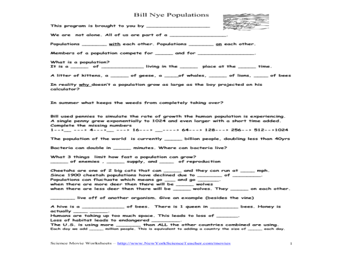 Bill nye brain worksheet answer key