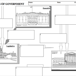 Government branches worksheet 5th grade 4th