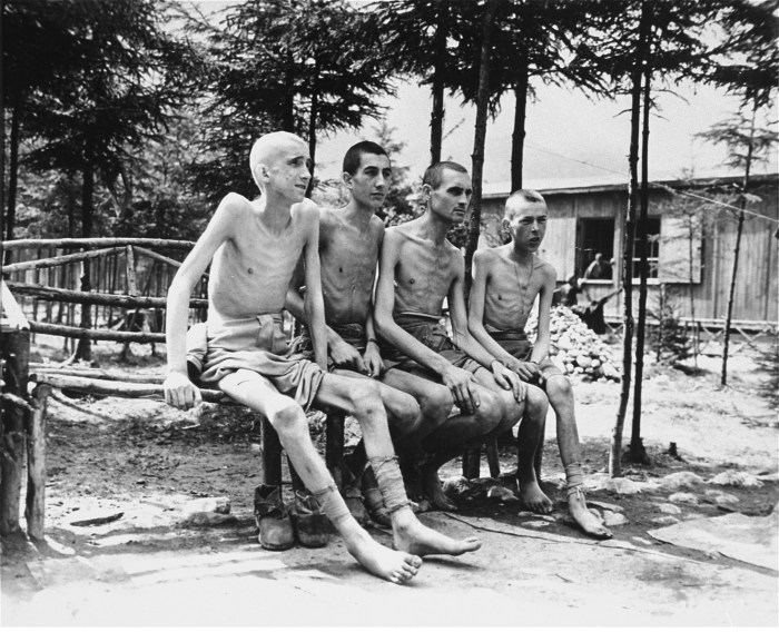 Starvation camp near jaslo analysis